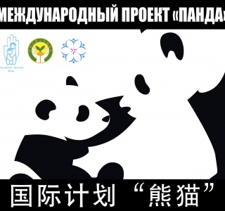 Проект «Панда